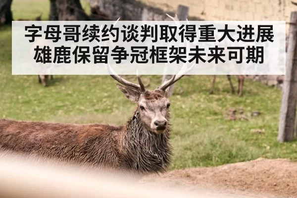 字母哥续约谈判取得重大进展 雄鹿保留争冠框架未来可期